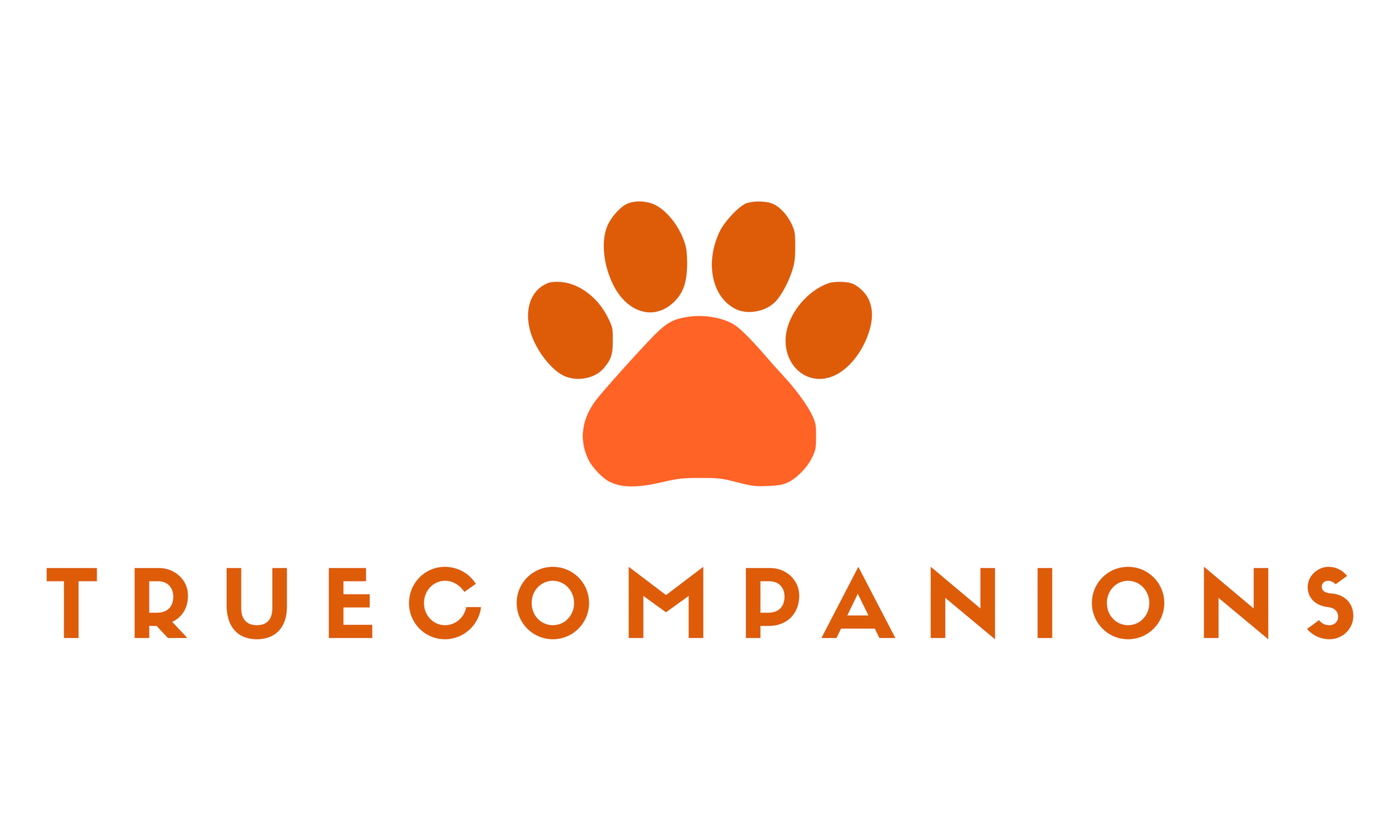 True Companions — Neighborhood Dog Walking in South Florida